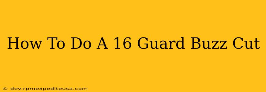 How To Do A 16 Guard Buzz Cut